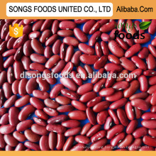 Sell Red Kidney Beans to Dubai